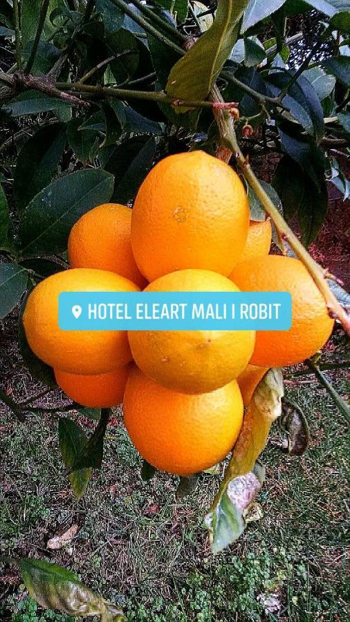 Eleart Aparthotel Golem (Tirana)